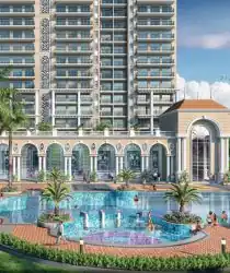 Prateek Grand Begonia